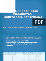 2. Morfologia bacteriana.pptx