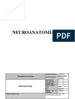neuroanatomia.pdf