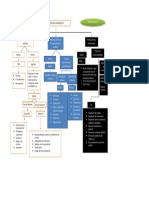 Mapa Conceptual