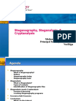 Steganography, Steganalysis, & Cryptanalysis: Michael T. Raggo, Cissp Principal Security Consultant Verisign