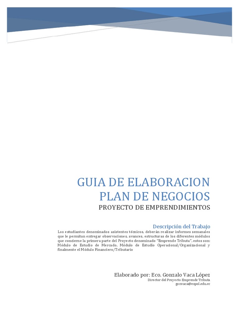 Guía para Elaborar un Plan de Negocios | PDF | Investigación de mercado ...