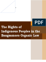 The Rights of the Indigenous Peoples in the BOL