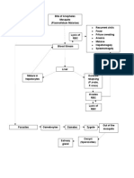 Malaria Symptoms and Life Cycle