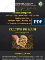 Cultivo de Maní PDF