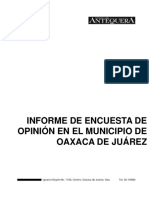 Informe Castelli