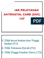 Standar Pelayanan Antenatal Care 14t
