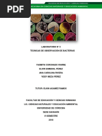 Informe 3 de Hongos y Levadura