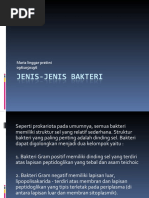 Download Jenis-jenis bakteri by yoyobattu SN38686173 doc pdf