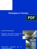3d Patologias en Puentes PDF