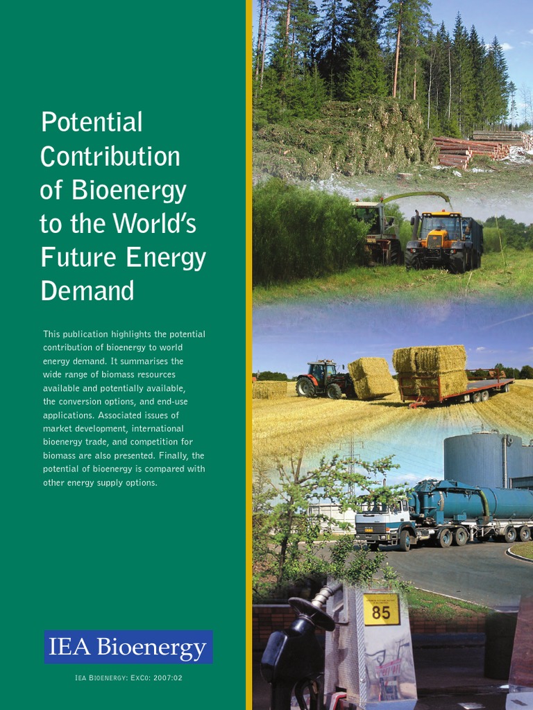 Handbook Biomass Gasification PDF | PDF | Biomass | Biofuel