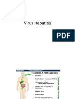 Virus Hepatitis