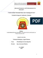 255718098-TRABAJO-DE-INVESTIGACION-RIO-RIMAC-modificado1-docx.docx