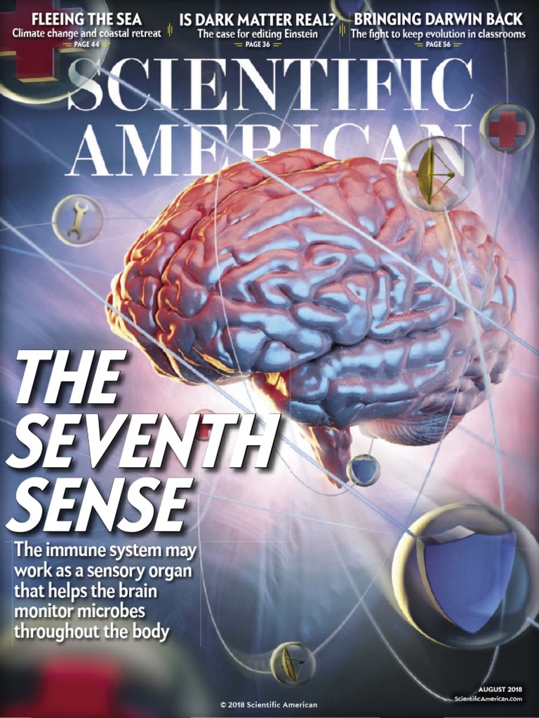 Scientific American August 18 Usa Pdf Action Potential Nature