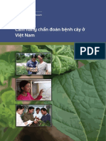 Cẩm nang chẩn đoán bệnh cây ở Việt Nam PDF