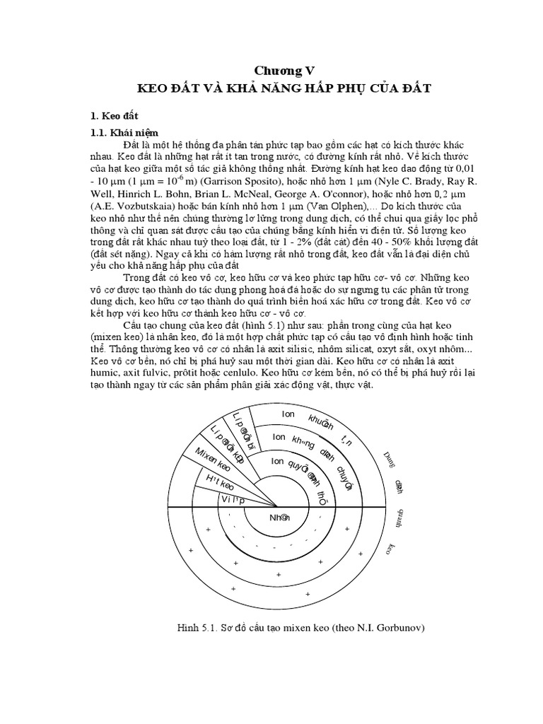 Keo đất và khả năng hấp phụ của đất PDF - Scribd