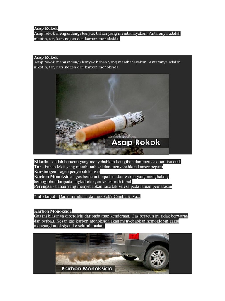 Asap Rokok | PDF