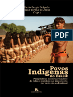 LIVRO - Povos Indígenas No Brasil - Perspectiva No Fortalecimento de Lutas e Combate Ao Preconceito Por Meio Do Audiovisual