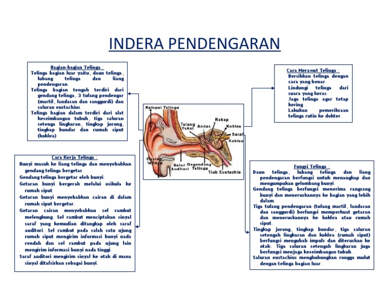 Tugas Aisyah Pdf