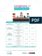 cronograma de actividades_2.pdf