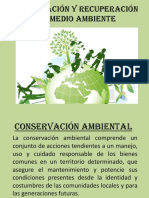 Conservación y Recuperación Del Medio Ambiente