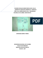 Version de Tesis de Pediculosis PDF