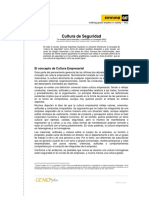 Cultura de Seguridad PDF