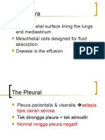 Efusi Pleura