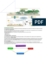 Sabes Qué Es Un Ecosistema