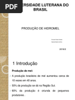 Hidromel Mini Curso