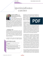 Patología Endocrina Veterinaria (Revista)