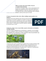 Trabalho Sociologia Filosofia