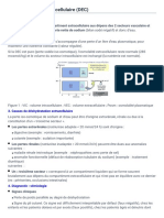 I Déshydratation Extracellulaire (DEC) - Publication Du CUEN - Physiologie Et Physiopathologie Rénales