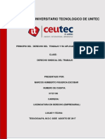 Principios Del Derecho Del Trabajo PDF