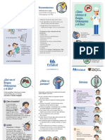 Triptico Dengue Zika Chicungunya PDF