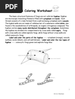 Fungi Coloring Worksheet