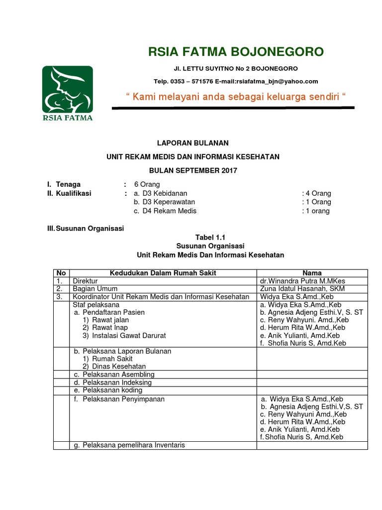 Contoh Format Laporan Bulanan Rekam Medis Bermain Belajar