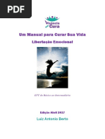 Um Manual Para Curar Sua Vida