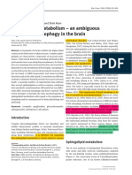 Sphingolipid Metabolism 2018