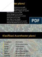 Acanthaster Plancii
