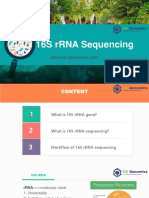 Introduction To 16s RRNA Sequencing-CD Genomics