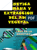 geneticahumanadiapositivas-111020172311-phpapp02.pptx