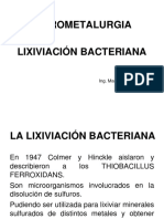 Presentación Lixiviación Bacteriana Tiepeadooooooo