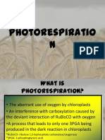 photorespiration-130312055524-phpapp01