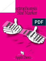 Gel Electrophoresis Size Marker: Take The Pink Link!