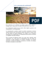 Contaminación ambiental: causas y efectos