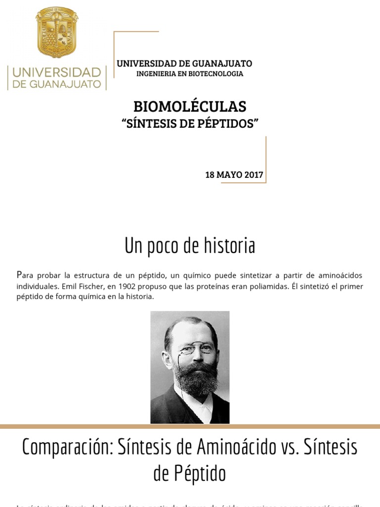 s-ntesis-de-p-ptidos-pdf-p-ptido-amino-cidos