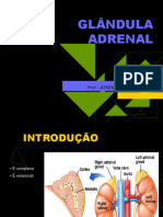 GLÂNDULA ADRENAL2012