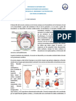 Guia Teorica Embriologia