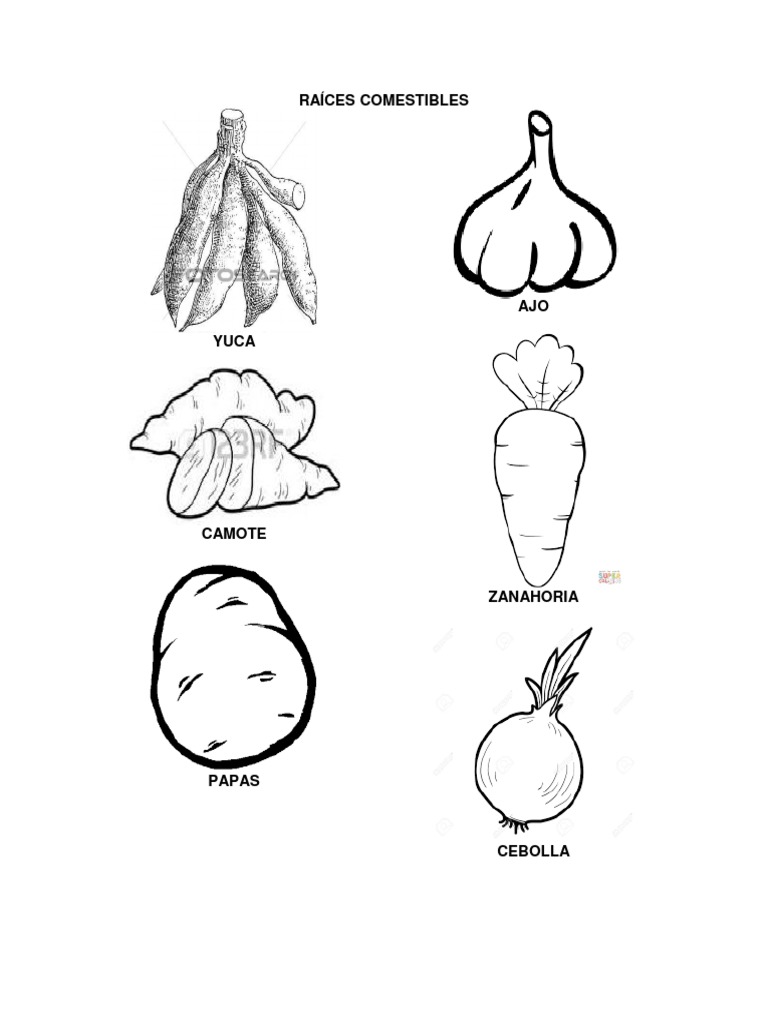 Alimentos De Origen Animal Para Colorear