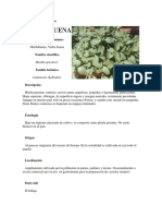 Documento de Investigación